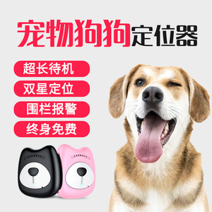 守護愛寵的安全 寵物定位項圈與定位器的實用指南