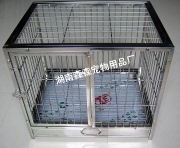 捕捉每一個精確瞬間——湖南森森寵物用品廠產品相冊一覽